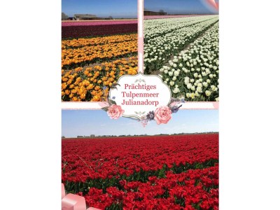 Holiday house Juliana Nr. 176 - Outdoor photo 4