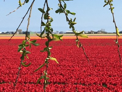 Holiday house Juliana Nr. 176 - Environment photo 25