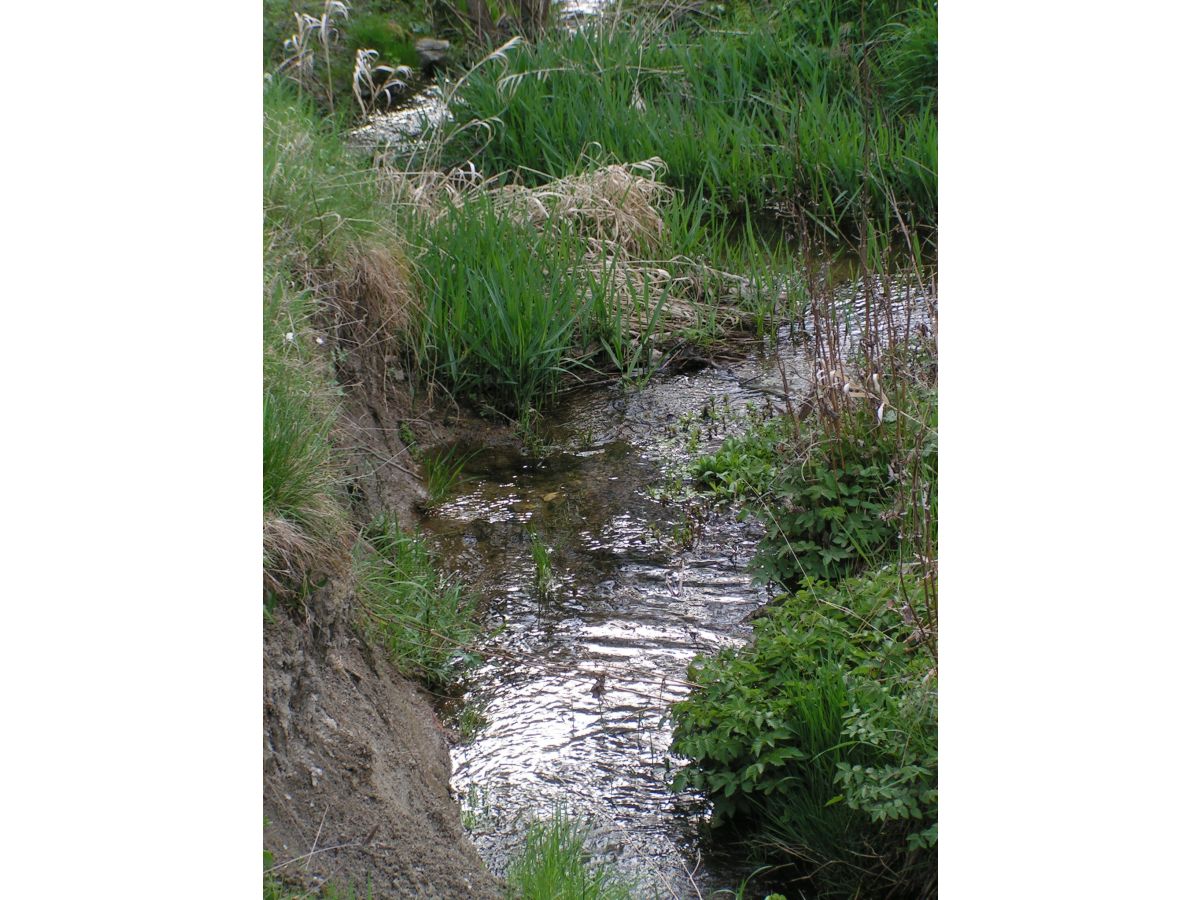 Holiday apartment Zum Wildpark - Outdoor photo 2