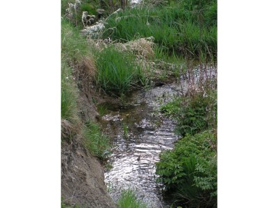 Holiday apartment Zum Wildpark - Outdoor photo 2