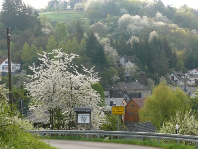 Holiday apartment Zum Wildpark - Outdoor photo 5