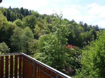 Holiday apartment Zum Wildpark - Outdoor photo 7