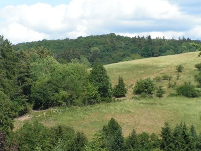 Holiday apartment Zum Wildpark - Environment photo 21