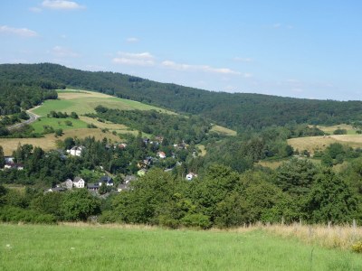 Holiday apartment Zum Wildpark - Environment photo 22