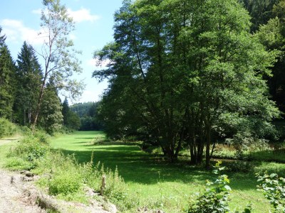 Holiday apartment Zum Wildpark - Environment photo 23