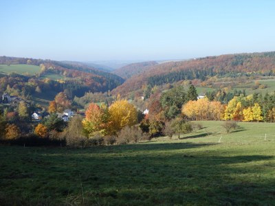 Holiday apartment Zum Wildpark - Environment photo 25