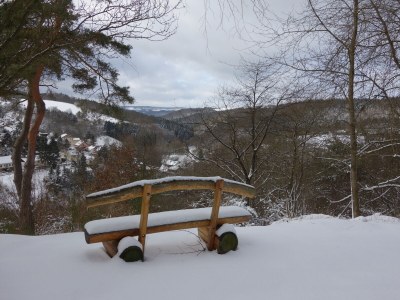 Holiday apartment Zum Wildpark - Environment photo 27