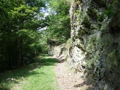 Holiday apartment Zum Wildpark - Environment photo 28