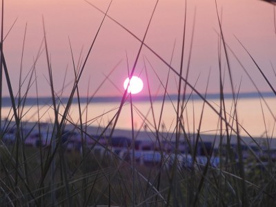 Holiday house Storchenhus - Environment photo 19