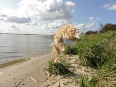 Holiday house Storchenhus - Environment photo 20