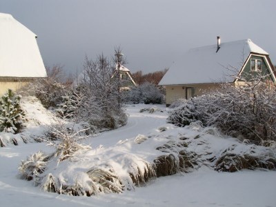 Holiday house Villaparc Duynopgangh House 28 - Outdoor photo 8