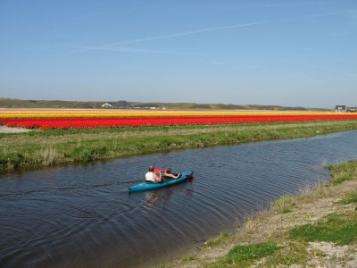 Holiday house Villaparc Duynopgangh House 28 - Environment photo 24