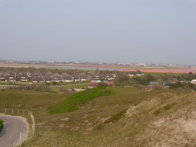 Holiday house Villaparc Duynopgangh House 28 - Environment photo 25