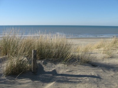 Holiday house Villaparc Duynopgangh House 28 - Environment photo 26