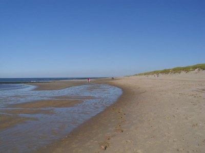 Holiday house Villaparc Duynopgangh House 28 - Environment photo 27