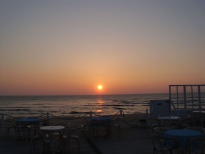 Holiday house Villaparc Duynopgangh House 28 - Environment photo 28