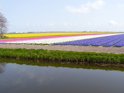 Holiday house Villaparc Duynopgangh House 28 - Environment photo 29