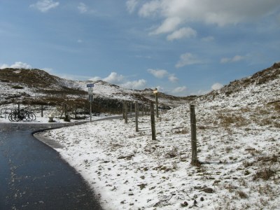 Holiday house Villaparc Duynopgangh House 28 - Environment photo 30