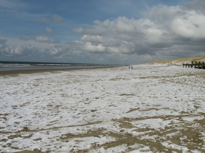 Holiday house Villaparc Duynopgangh House 28 - Environment photo 31