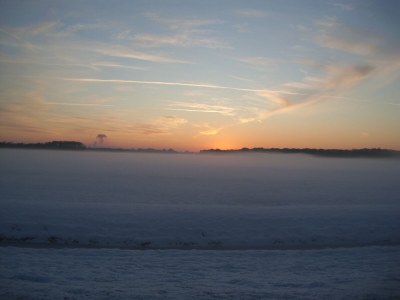 Holiday house Villaparc Duynopgangh House 28 - Environment photo 32