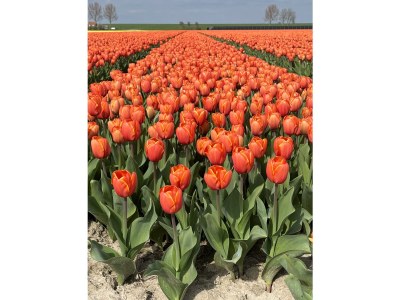 Holiday house Hygge Huis - Environment photo 32