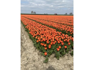 Holiday house Hygge Huis - Environment photo 33