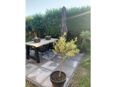 Holiday apartment Wad'n Huisje - Features photo 25