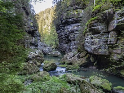 Holiday apartment Villa Emma - Environment photo 18