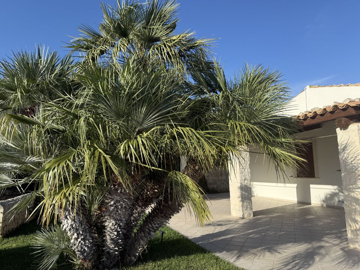 Villa Lorena - Outdoor photo 5