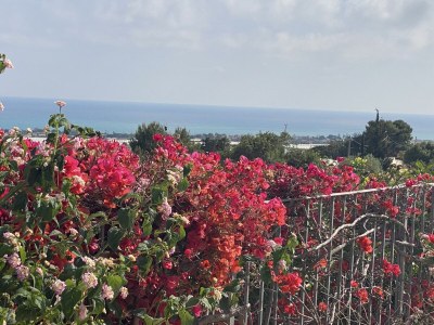 Villa Lorena - Outdoor photo 15