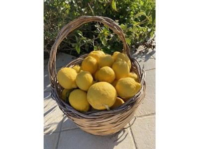 Villa Lorena - Environment photo 30