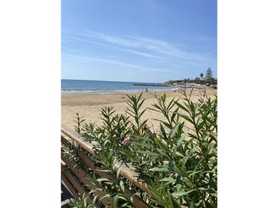 Villa Lorena - Environment photo 31