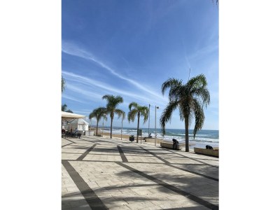 Villa Lorena - Environment photo 38