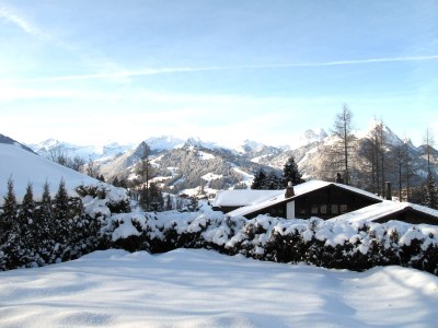 Chalet Grüenbüelti - Environment photo 18