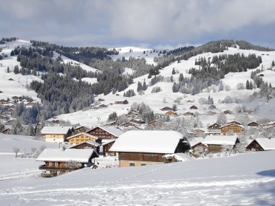 Chalet Grüenbüelti - Environment photo 19