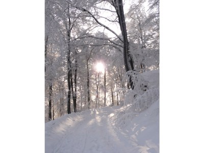 Holiday house Waterfall - Environment photo 16