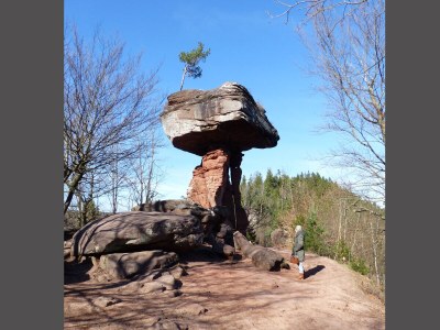 Holiday apartment Monte Noble 2 - Environment photo 28