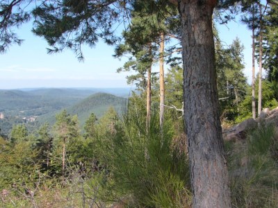 Holiday apartment Monte Noble 2 - Environment photo 30