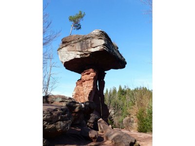 Holiday apartment Monte Noble 2 - Environment photo 38