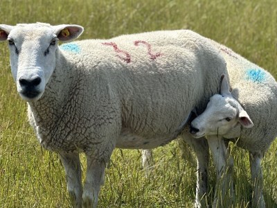 Holiday house No title - Environment photo 24