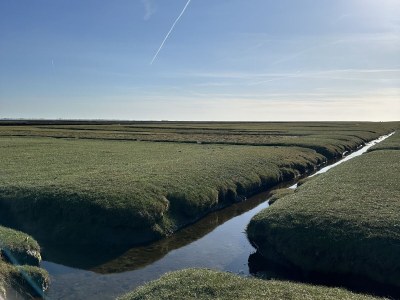 Holiday house No title - Environment photo 26