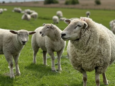 Holiday house No title - Environment photo 29