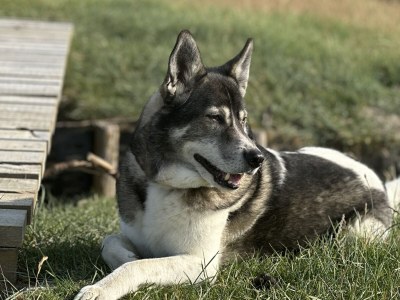 Holiday house No title - Environment photo 30