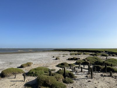 Holiday house No title - Environment photo 31