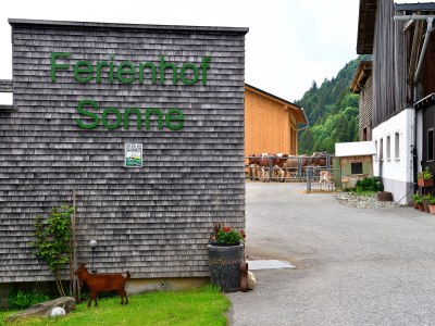 Holiday apartment Ferienhof Sonne in the AllgÃ¤u - Outdoor photo 4