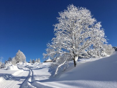 Holiday apartment Ferienhof Sonne in the AllgÃ¤u - Environment photo 18