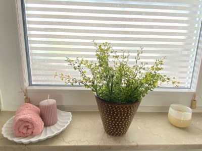 Apartment 2-Bett-Ferienwohnung - Outdoor photo 14