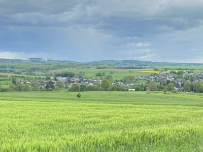 Apartment 2-Bett-Ferienwohnung - Outdoor photo 17