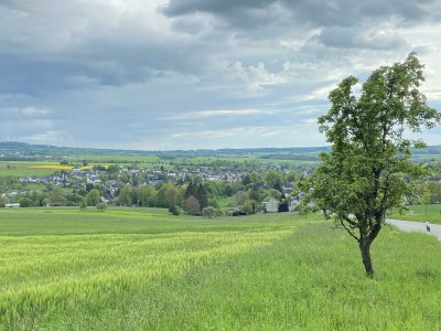 Apartment 2-Bett-Ferienwohnung - Outdoor photo 18