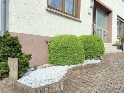 Apartment 2-Bett-Ferienwohnung - Outdoor photo 31